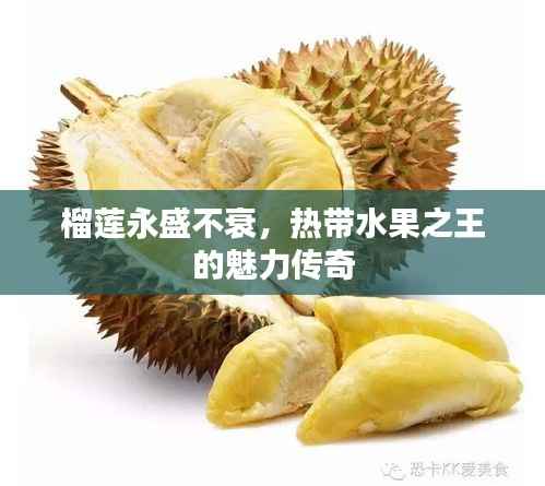 榴莲永盛不衰，热带水果之王的魅力传奇