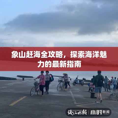 象山赶海全攻略，探索海洋魅力的最新指南