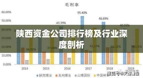 陕西资金公司排行榜及行业深度剖析