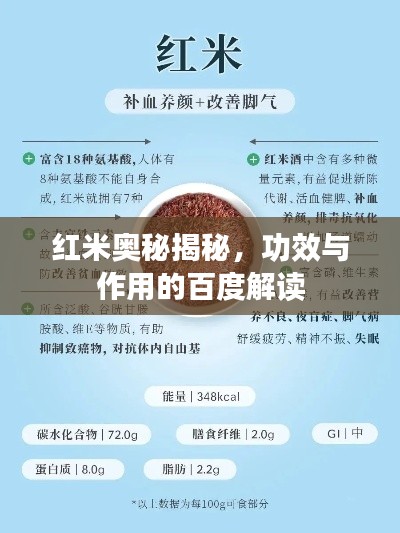 红米奥秘揭秘，功效与作用的百度解读