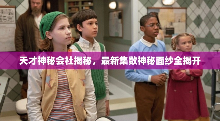 天才神秘会社揭秘，最新集数神秘面纱全揭开