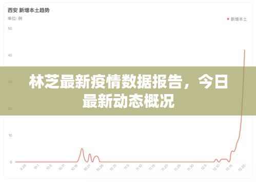 林芝最新疫情数据报告，今日最新动态概况