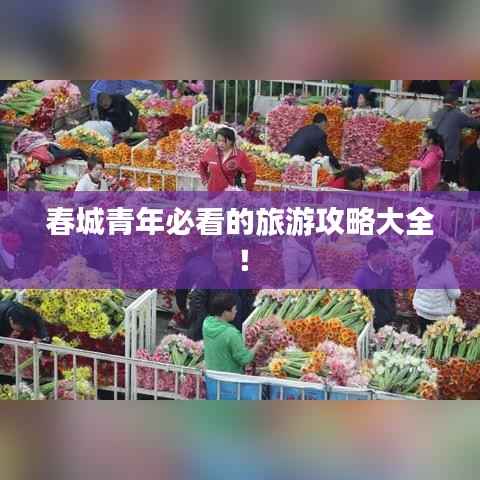 春城青年必看的旅游攻略大全！