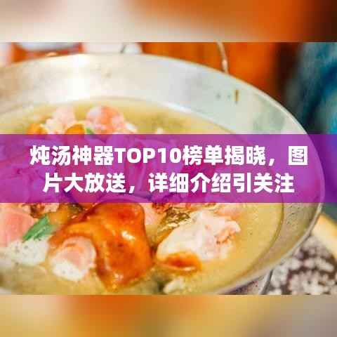 炖汤神器TOP10榜单揭晓，图片大放送，详细介绍引关注