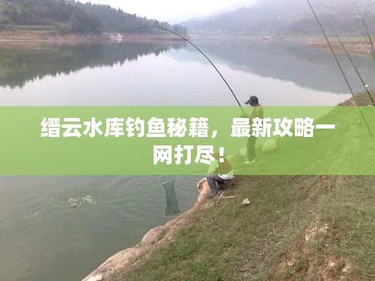 缙云水库钓鱼秘籍，最新攻略一网打尽！