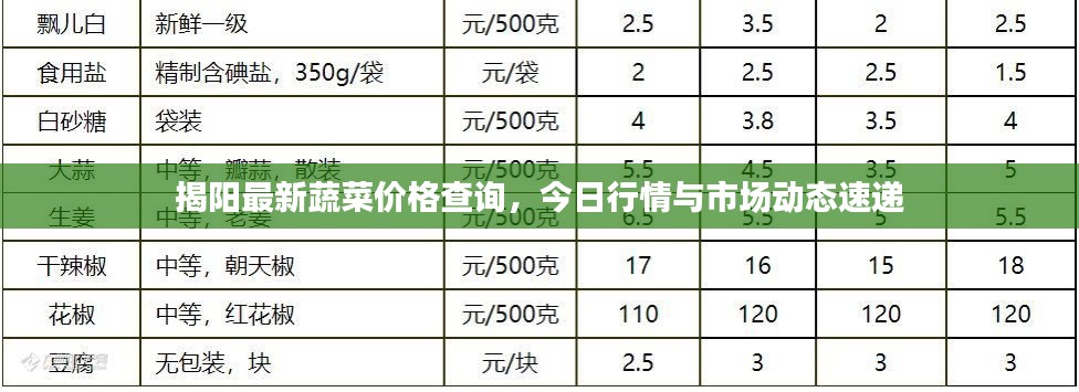 揭阳最新蔬菜价格查询，今日行情与市场动态速递