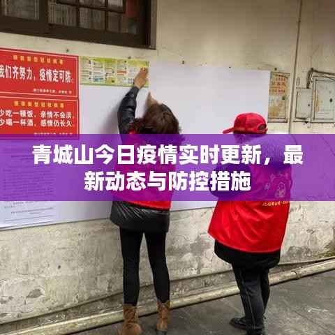 青城山今日疫情实时更新，最新动态与防控措施