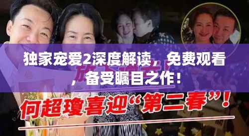 独家宠爱2深度解读,免费观看,备受瞩目之作!