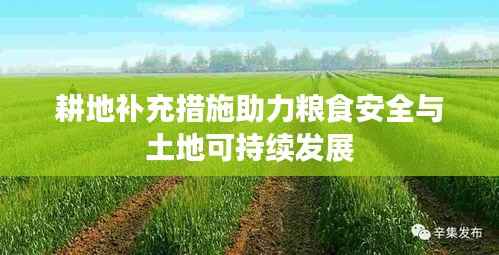 耕地补充措施助力粮食安全与土地可持续发展