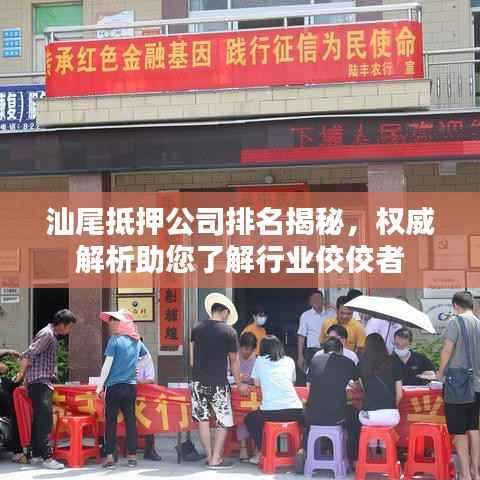 汕尾抵押公司排名揭秘，权威解析助您了解行业佼佼者