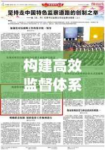 构建高效监督体系,职责落实与监督执纪的双重保障