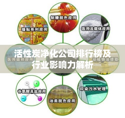 活性炭净化公司排行榜及行业影响力解析