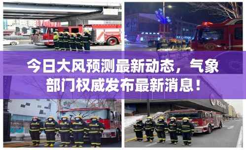 定谋贵决 第4页