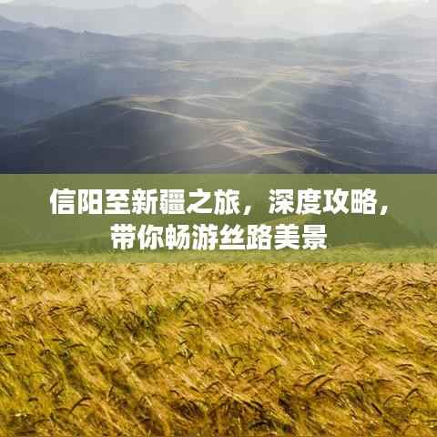 信阳至新疆之旅，深度攻略，带你畅游丝路美景