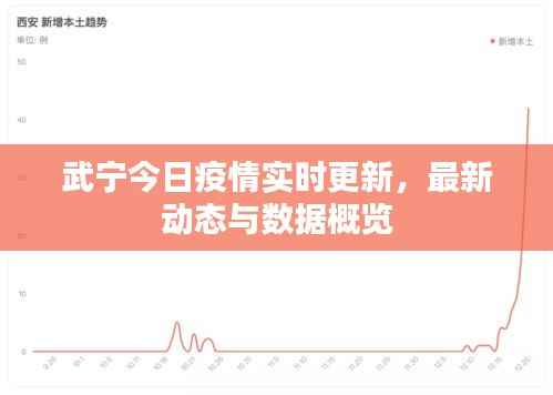 武宁今日疫情实时更新，最新动态与数据概览