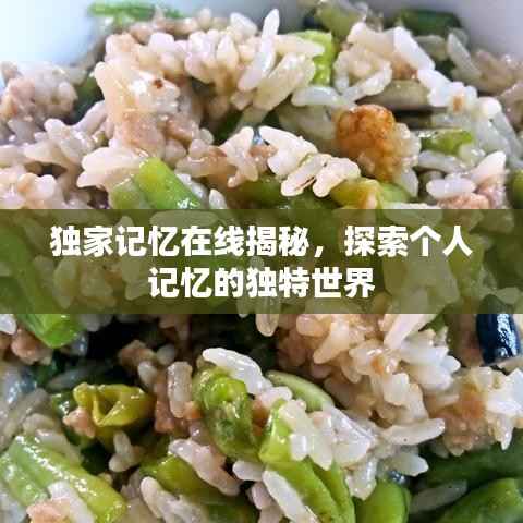 独家记忆在线揭秘，探索个人记忆的独特世界