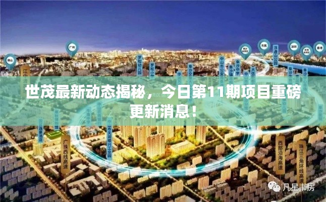 世茂最新动态揭秘，今日第11期项目重磅更新消息！