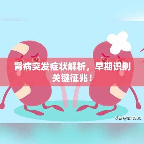 肾病突发症状解析,早期识别关键征兆!