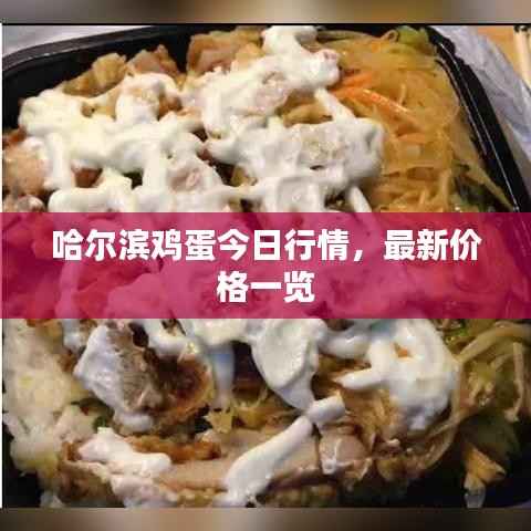 哈尔滨鸡蛋今日行情，最新价格一览