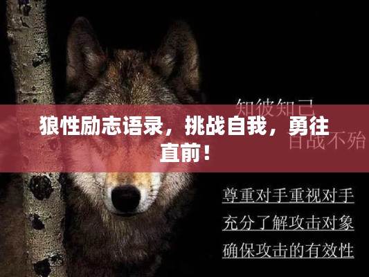 狼性励志语录，挑战自我，勇往直前！
