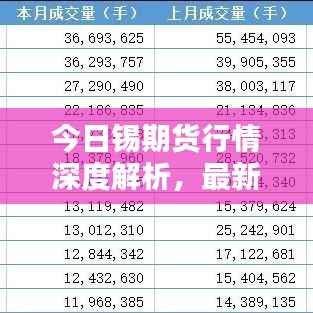 今日锡期货行情深度解析，最新动态一网打尽！