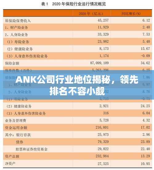 ANK公司行业地位揭秘，领先排名不容小觑