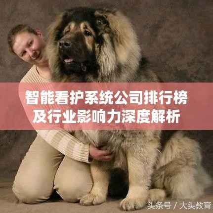 智能看护系统公司排行榜及行业影响力深度解析