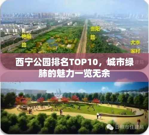 西宁公园排名TOP10，城市绿肺的魅力一览无余