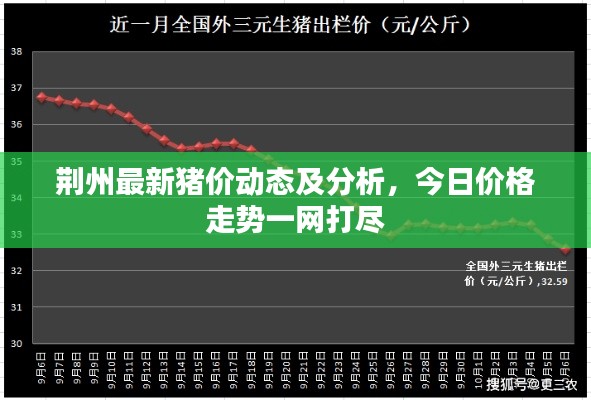 荆州最新猪价动态及分析，今日价格走势一网打尽
