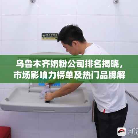 乌鲁木齐奶粉公司排名揭晓，市场影响力榜单及热门品牌解析