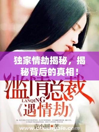 独家情劫揭秘，揭秘背后的真相！