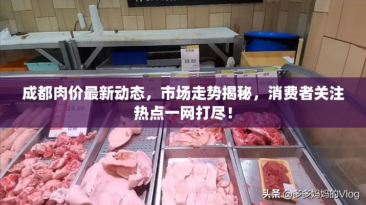 成都肉价最新动态,市场走势揭秘,消费者关注热点一网打尽!