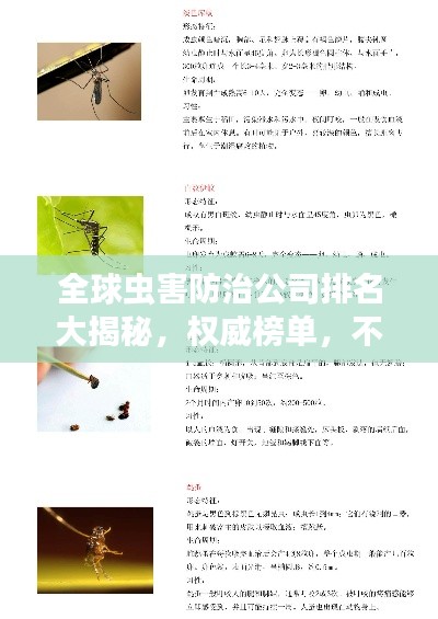 全球虫害防治公司排名大揭秘，权威榜单，不容错过！