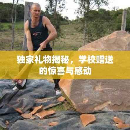 独家礼物揭秘，学校赠送的惊喜与感动