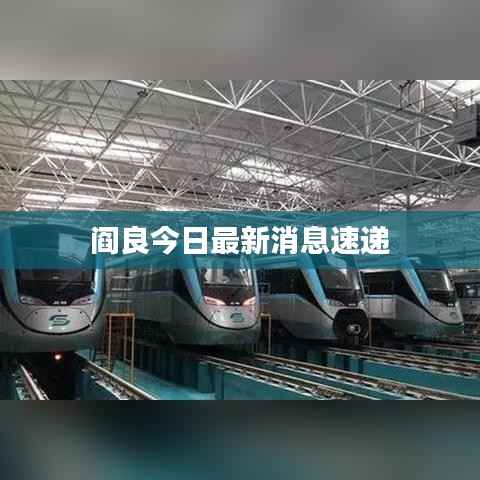 阎良今日最新消息速递