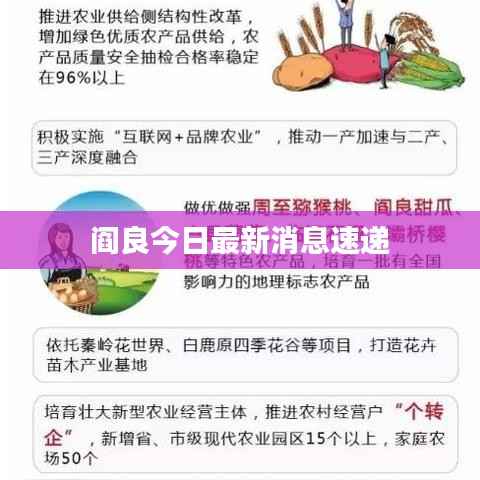 阎良今日最新消息速递