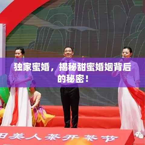 独家蜜婚，揭秘甜蜜婚姻背后的秘密！
