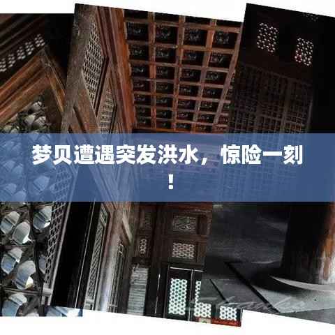 梦贝遭遇突发洪水，惊险一刻！