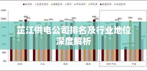 芷江供电公司排名及行业地位深度解析