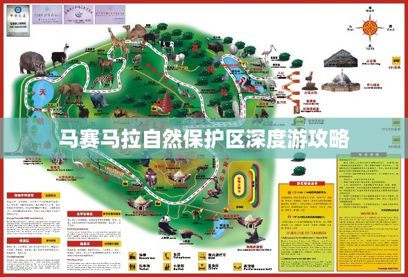 马赛马拉自然保护区深度游攻略