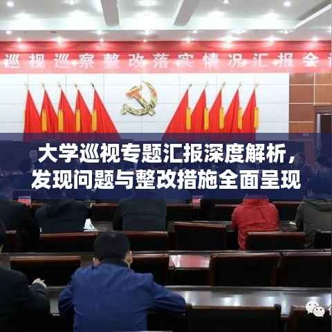 大学巡视专题汇报深度解析，发现问题与整改措施全面呈现