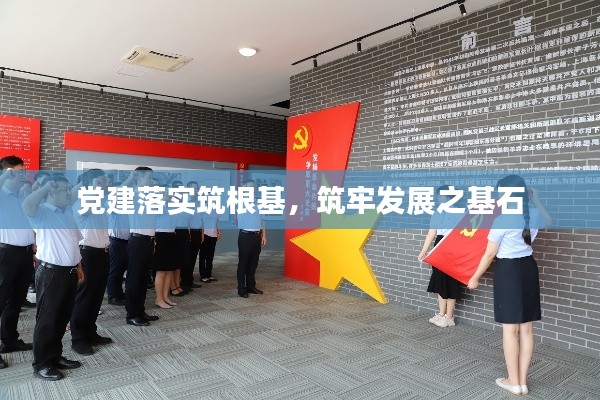 党建落实筑根基，筑牢发展之基石