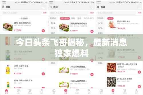 今日头条飞哥揭秘，最新消息独家爆料