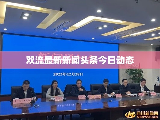 双流最新新闻头条今日动态