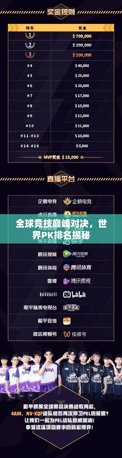全球竞技巅峰对决,世界PK排名揭秘