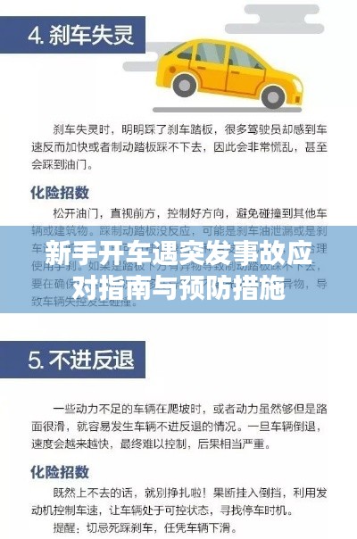 新手开车遇突发事故应对指南与预防措施