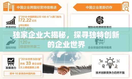 独家企业大揭秘，探寻独特创新的企业世界