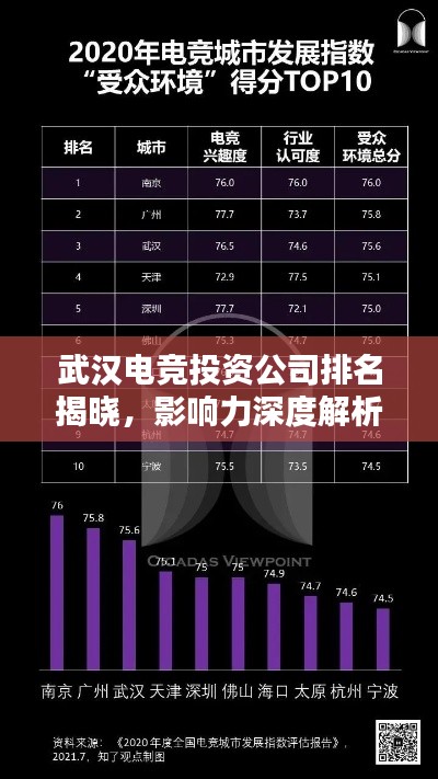 武汉电竞投资公司排名揭晓，影响力深度解析