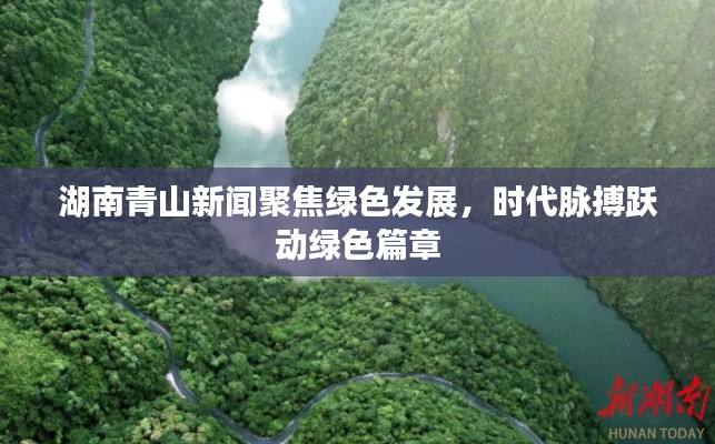 湖南青山新闻聚焦绿色发展，时代脉搏跃动绿色篇章
