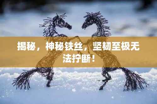 揭秘，神秘铁丝，坚韧至极无法拧断！